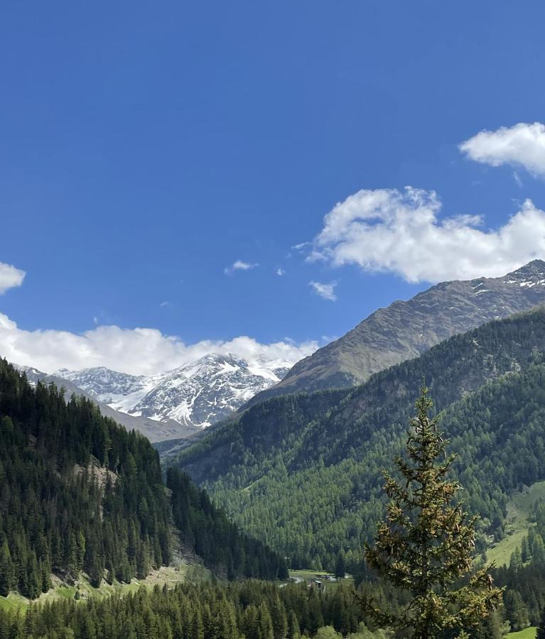 Regina Delle Alpi Santa Caterina Valfurva
